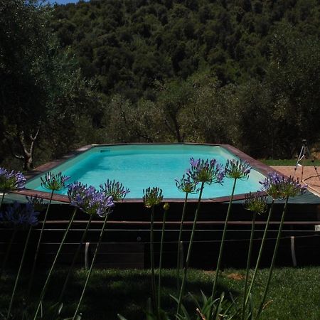Il Pino Bed & Breakfast Vetulonia Luaran gambar