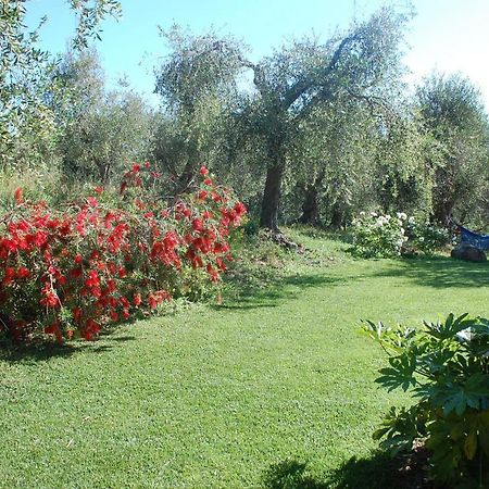 Il Pino Bed & Breakfast Vetulonia Luaran gambar