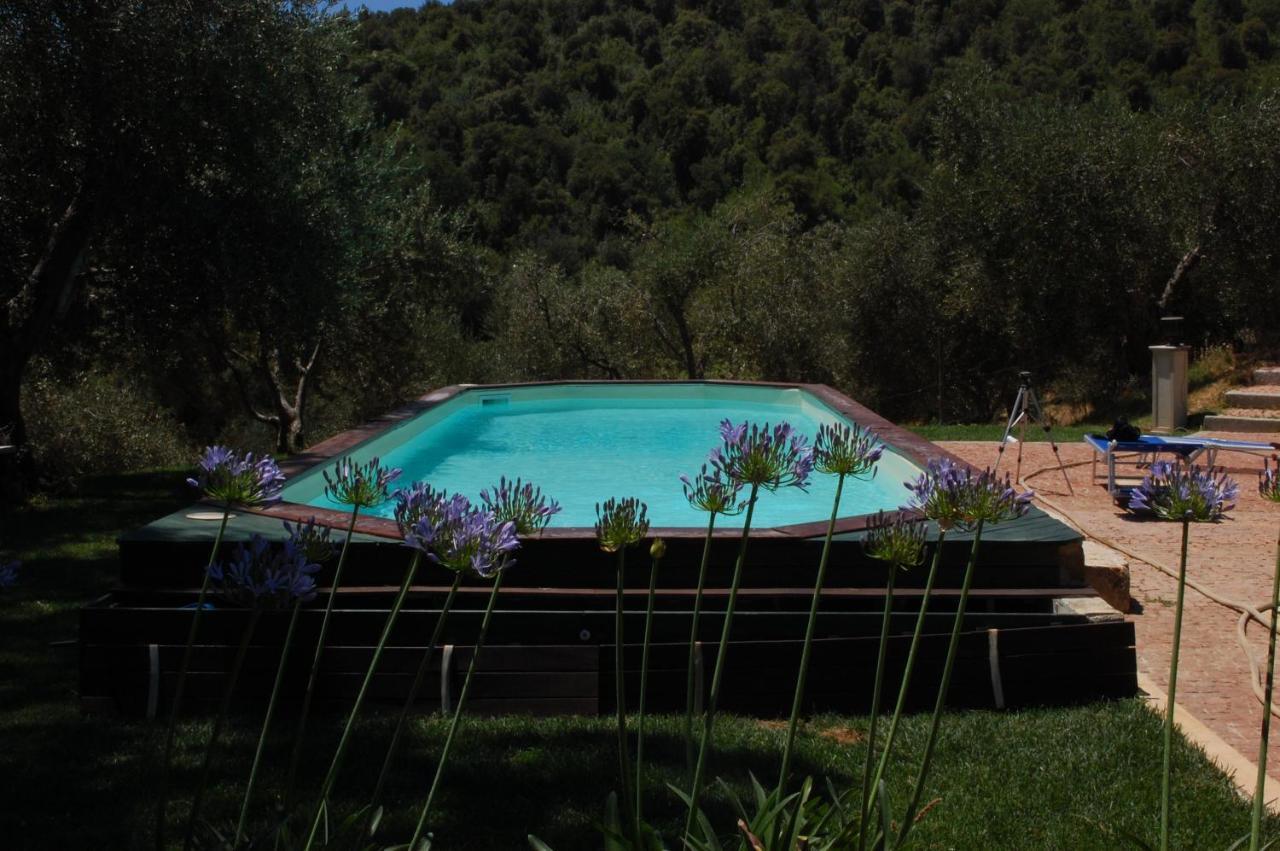 Il Pino Bed & Breakfast Vetulonia Luaran gambar