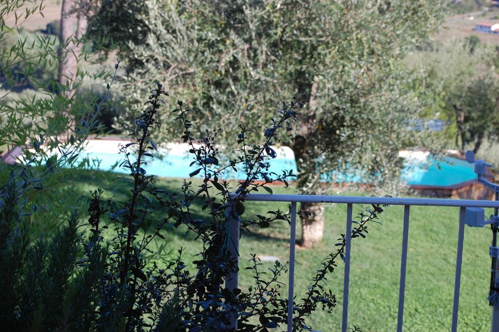 Il Pino Bed & Breakfast Vetulonia Luaran gambar