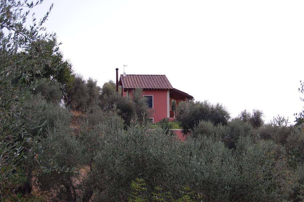 Il Pino Bed & Breakfast Vetulonia Luaran gambar