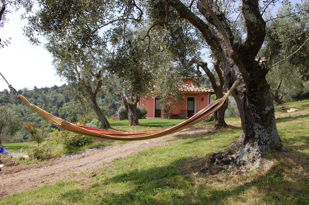 Il Pino Bed & Breakfast Vetulonia Luaran gambar
