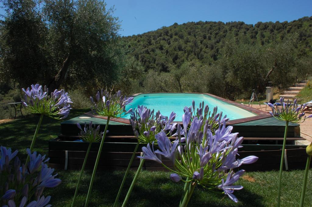 Il Pino Bed & Breakfast Vetulonia Luaran gambar
