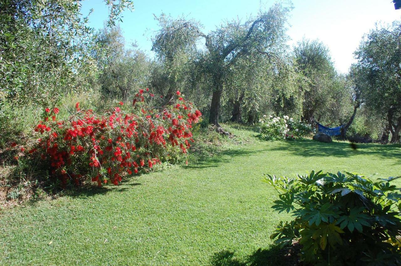 Il Pino Bed & Breakfast Vetulonia Luaran gambar
